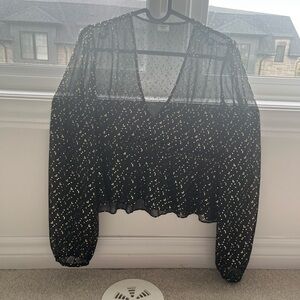 Aritzia Sunday Best sheer top